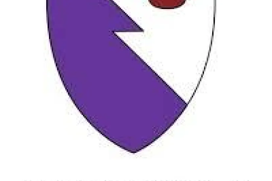 The Royal College of Emergency Medicine
